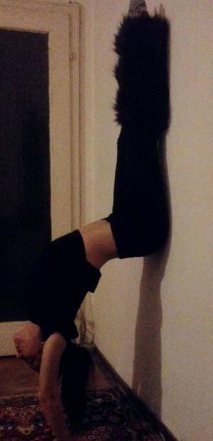 Emmalee (29) in Missouri | Hookup Tonight